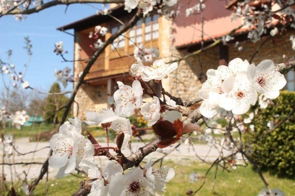 Bed & Breakfast Casa Torreteyera